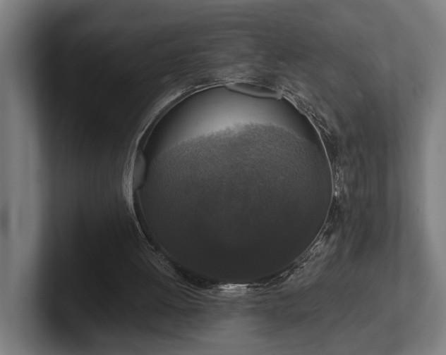 X0000102400052200808011555