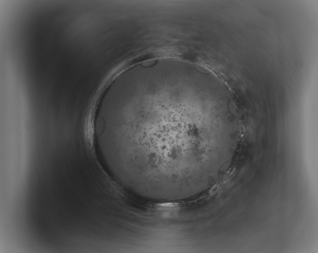 X0000102400053200808011555