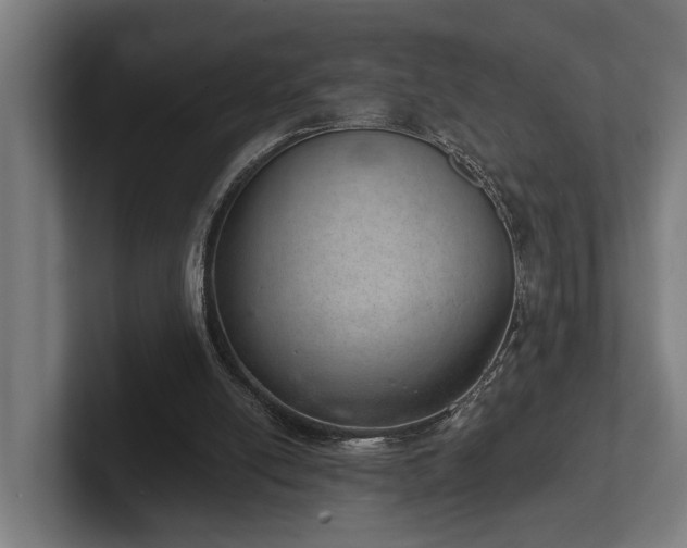 X0000102400054200808011555