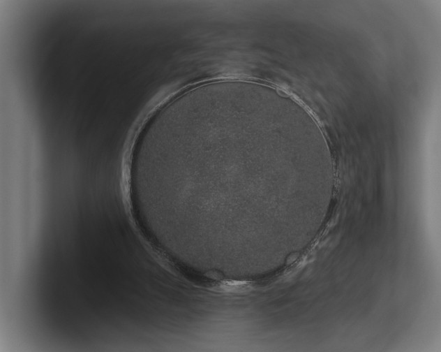 X0000102400055200808011555