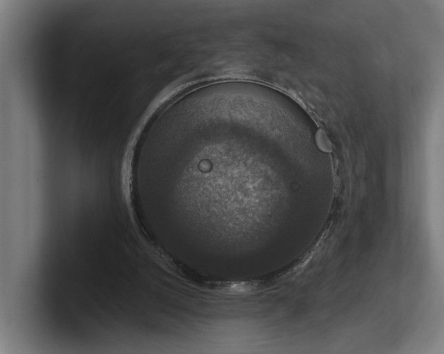 X0000102400056200808011555