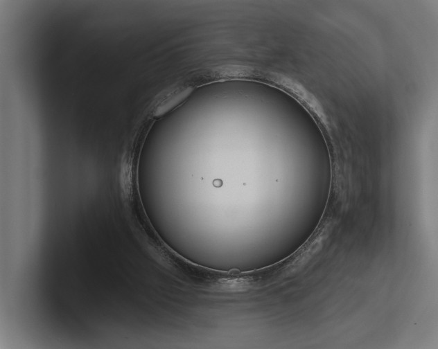 X0000102400057200808011555