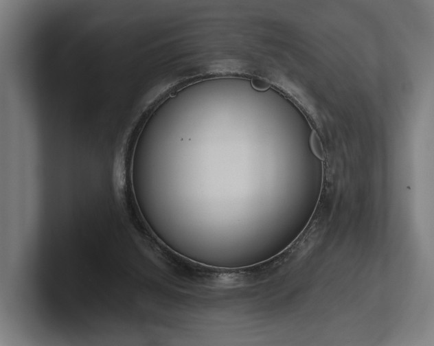 X0000102400060200808011555