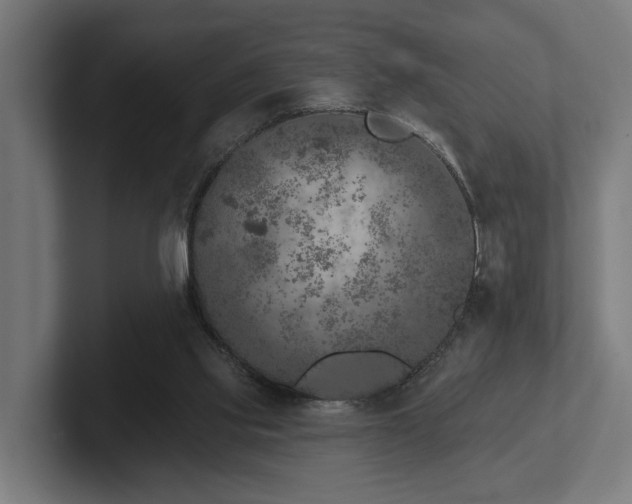 X0000102400061200808011555