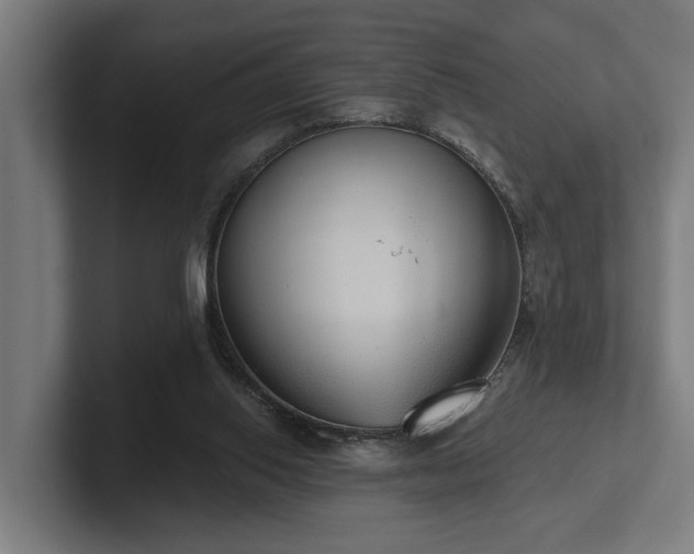 X0000102400062200808011555