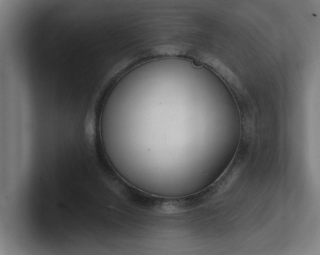 X0000102400064200808011555