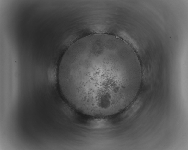 X0000102400065200808011555