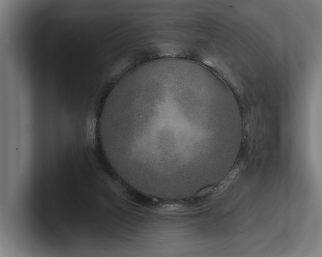 X0000102400066200808011555