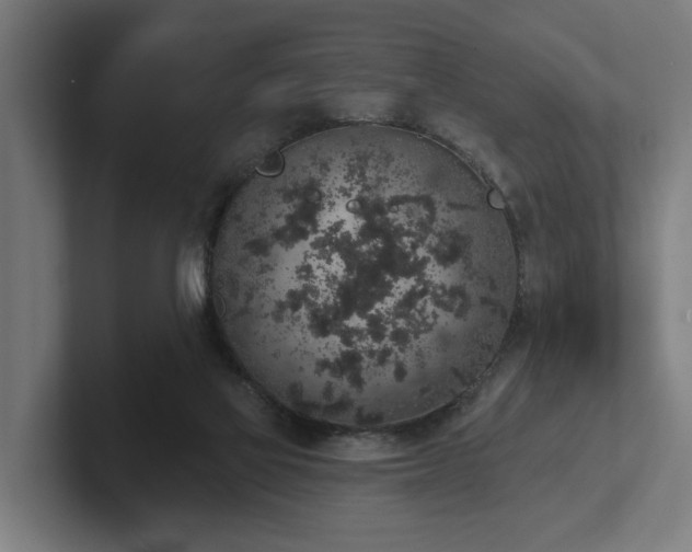 X0000102400069200808011555