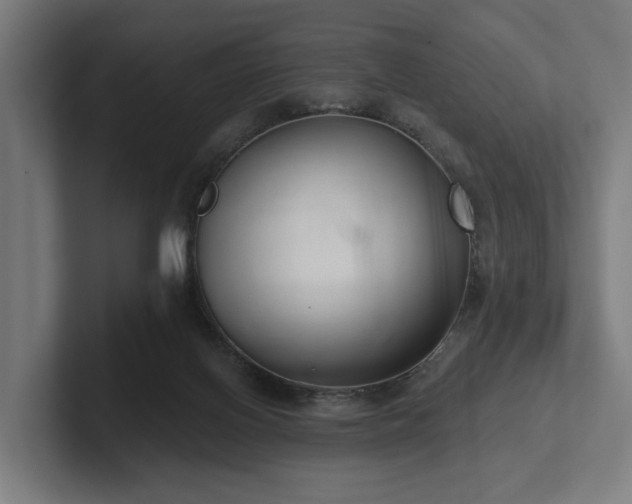 X0000102400070200808011555