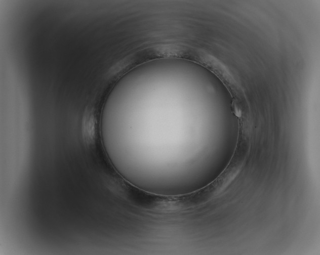 X0000102400071200808011555