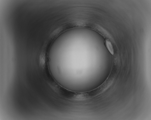 X0000102400072200808011555