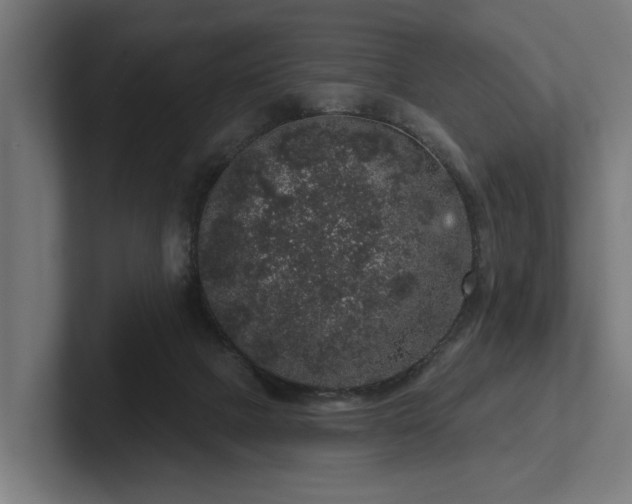 X0000102400073200808011555