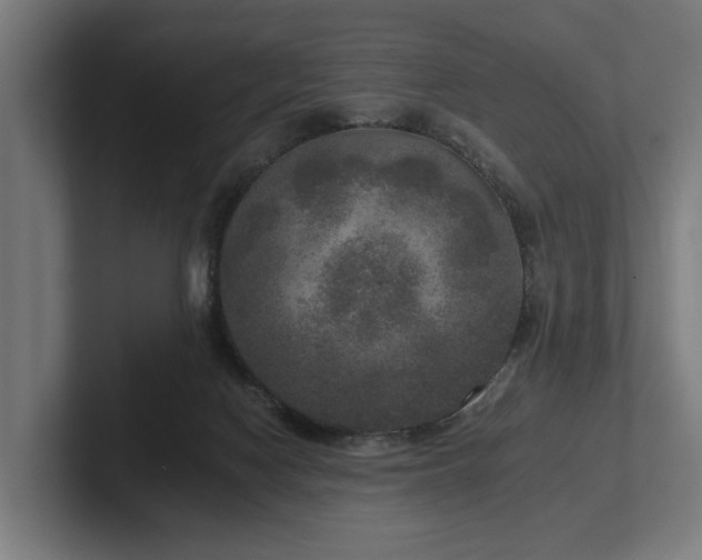 X0000102400074200808011555