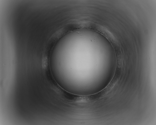 X0000102400077200808011555