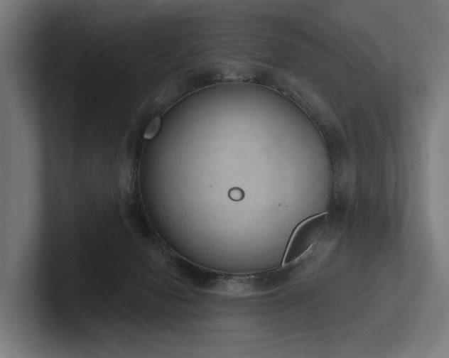 X0000102400078200808011555