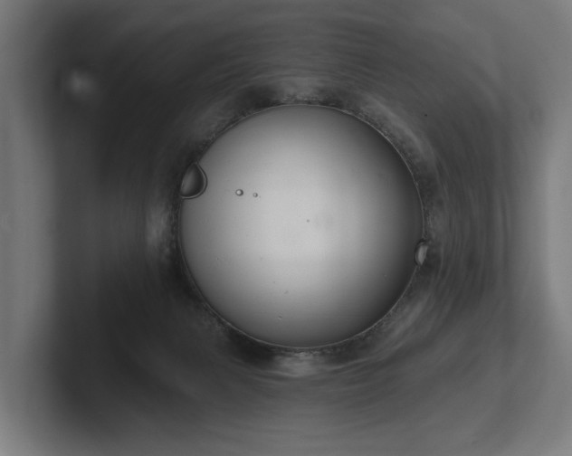 X0000102400079200808011555