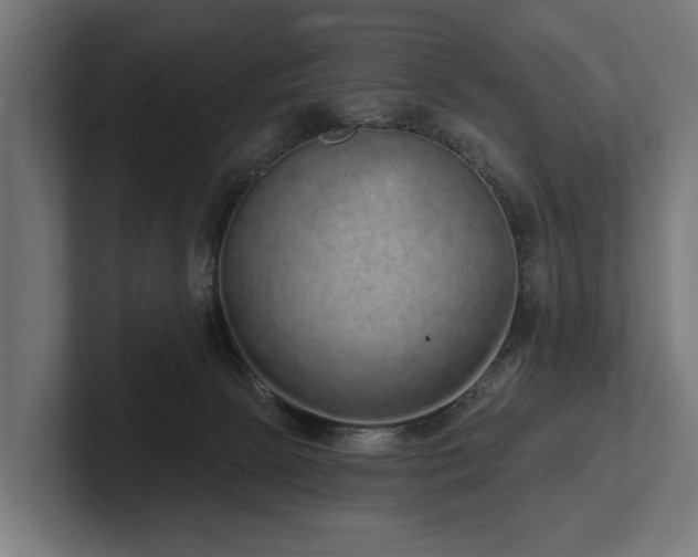 X0000102400081200808011555