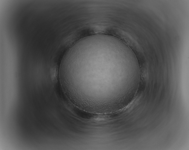 X0000102400082200808011555