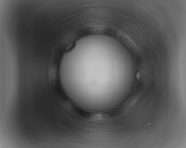 X0000102400083200808011555