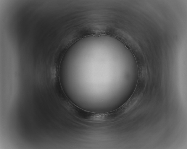 X0000102400084200808011555