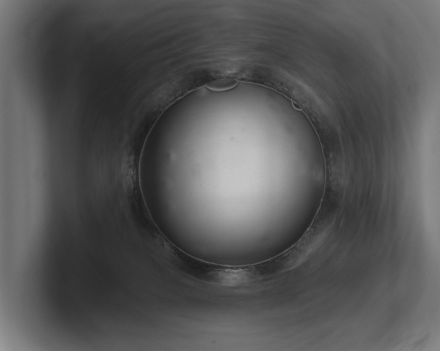 X0000102400085200808011555