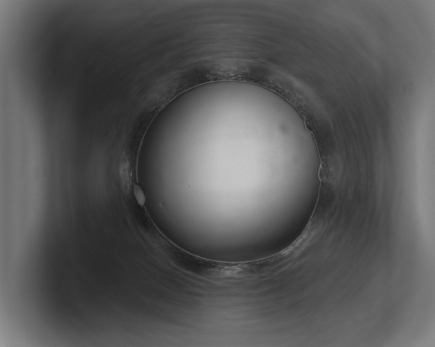 X0000102400086200808011555