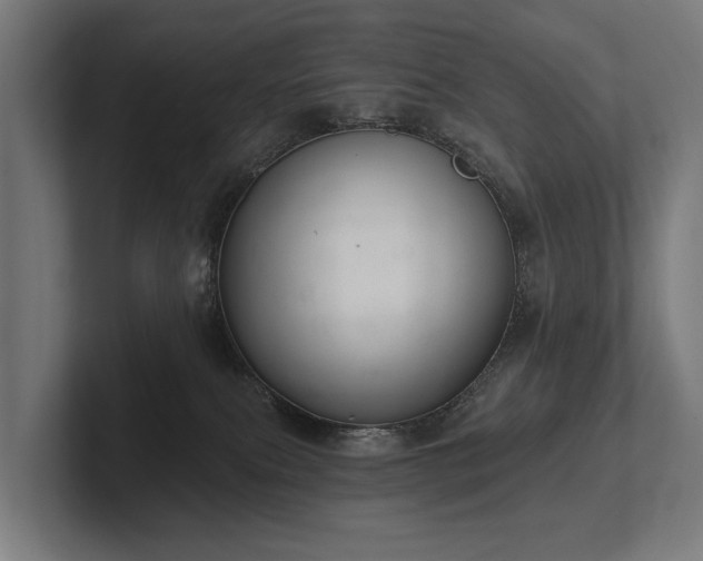 X0000102400087200808011555