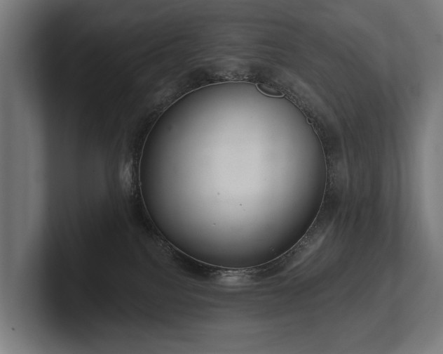 X0000102400088200808011555