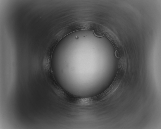 X0000102400092200808011555