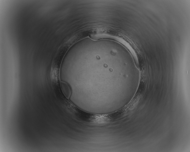 X0000102400093200808011555