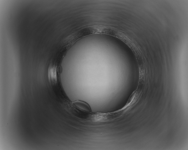 X0000102400094200808011555