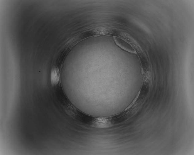 X0000102400095200808011555