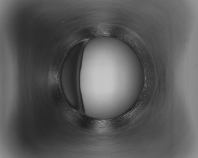 X0000102400096200808011555