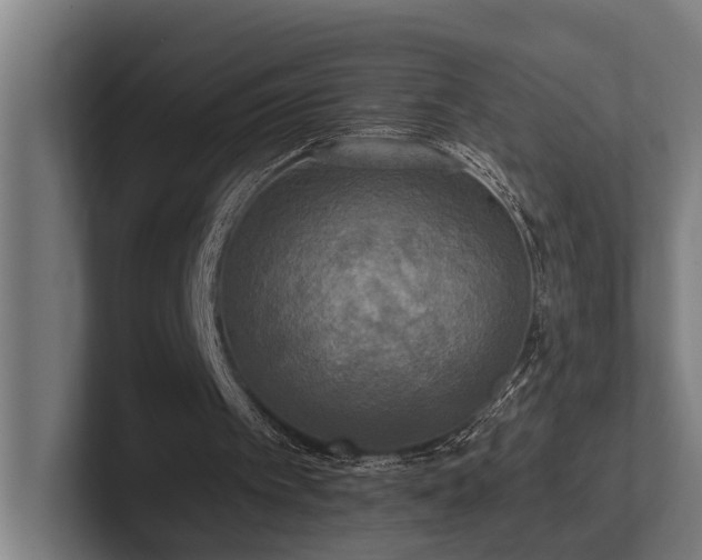 X0000102400097200808011554