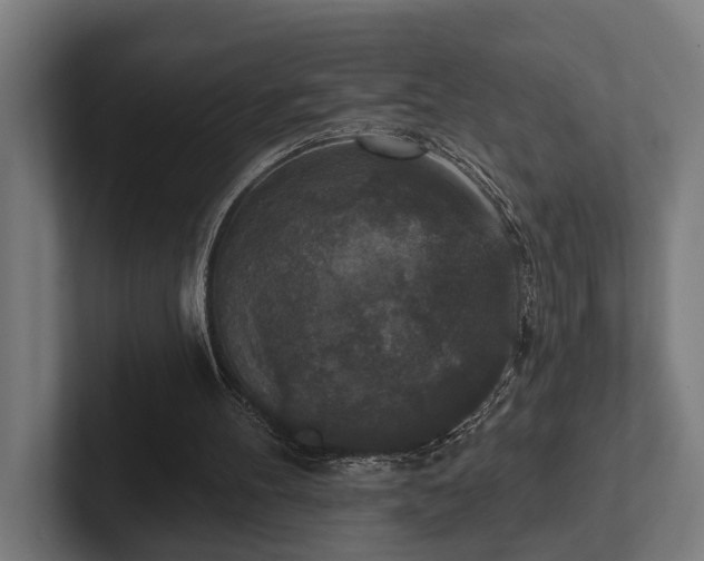 X0000102400100200808011554