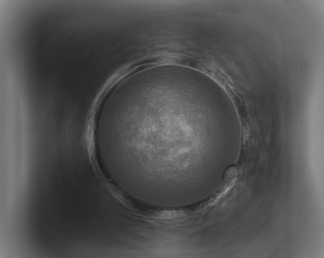 X0000102400101200808011554