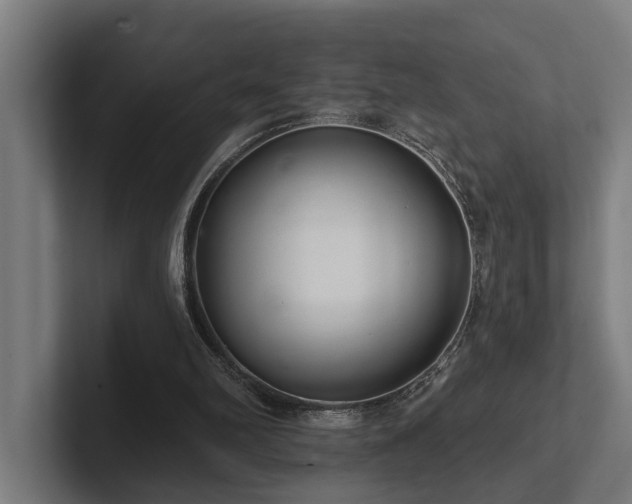 X0000102400102200808011554