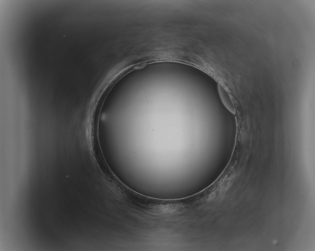 X0000102400103200808011554