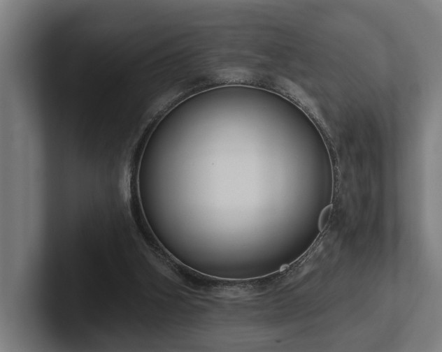 X0000102400106200808011554