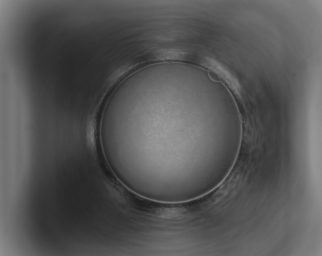 X0000102400107200808011554