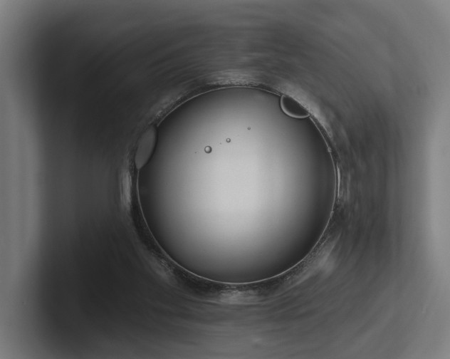 X0000102400109200808011554