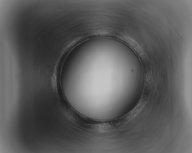 X0000102400112200808011554