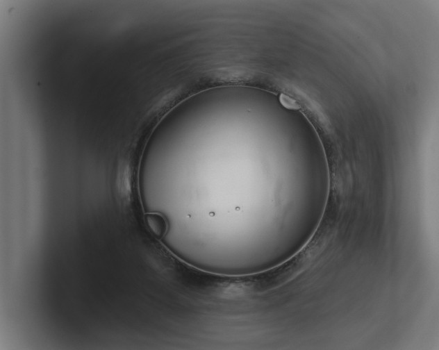 X0000102400115200808011554