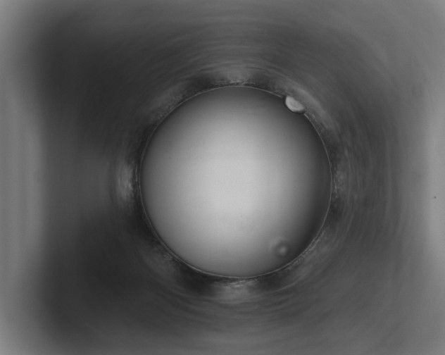 X0000102400122200808011554