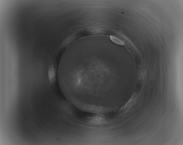 X0000102400124200808011554