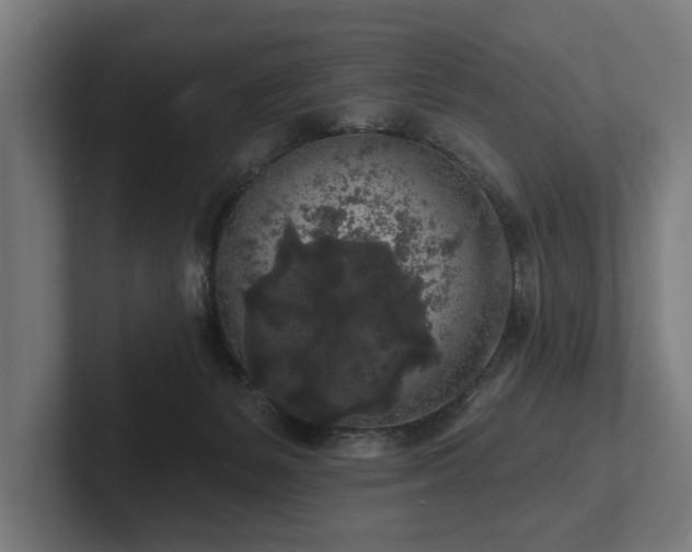 X0000102400127200808011554