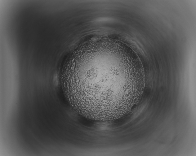 X0000102400131200808011554