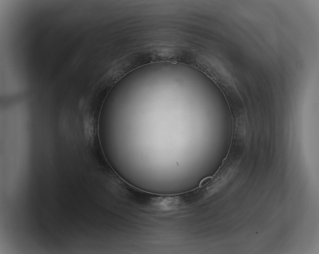 X0000102400135200808011554