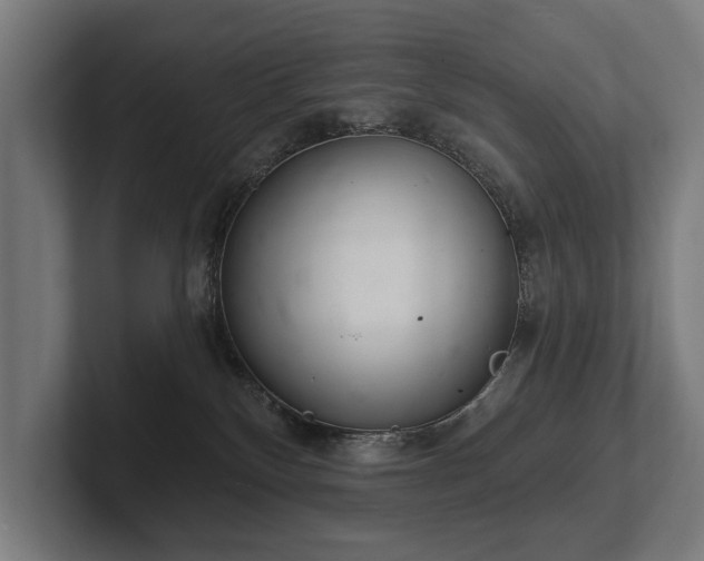 X0000102400136200808011554